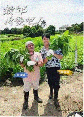 青蛇三十周年 徐克白蛇美学解读